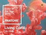 Pantone 2019 Yılının Rengini Açıkladı