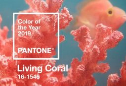 2019 yılının rengi living coral