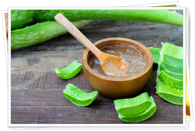Aloe Vera Mucizesi Ile Tanismaya Hazir Misiniz