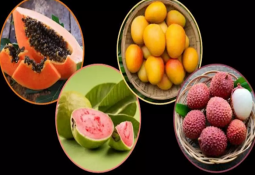 triptofan içeren besinler